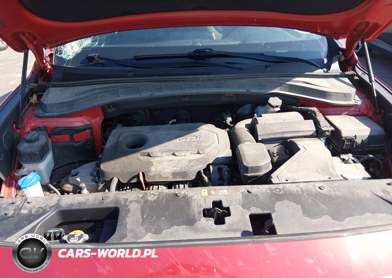 2020 Hyundai Santa Fe Sel VIN:5NMS3CAD3LH202970 - 10