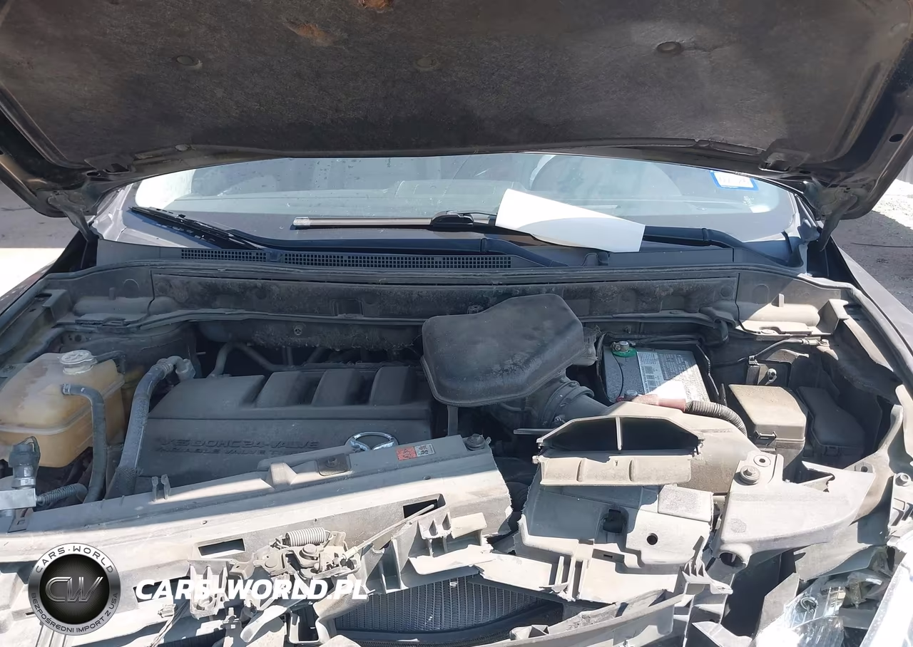 2010 Mazda Cx-9 Touring VIN:JM3TB2MA8A0217343 - 10