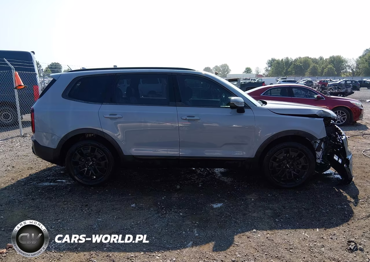 2022 Kia Telluride Ex VIN:5XYP3DHC5NG323263 - 14