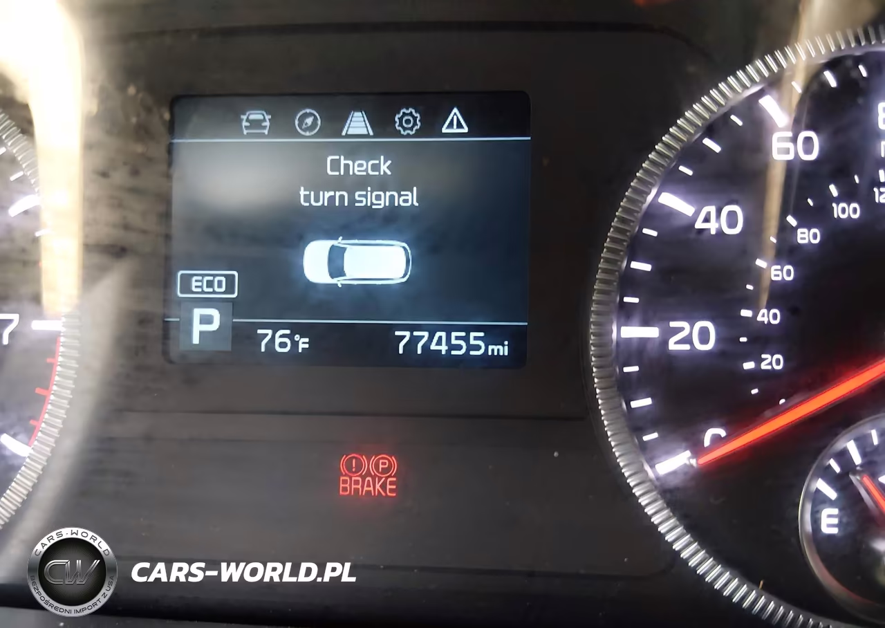 2022 Kia Telluride Ex VIN:5XYP3DHC5NG323263 - 16