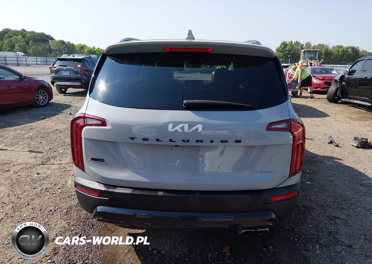 2022 Kia Telluride Ex VIN:5XYP3DHC5NG323263 - 17