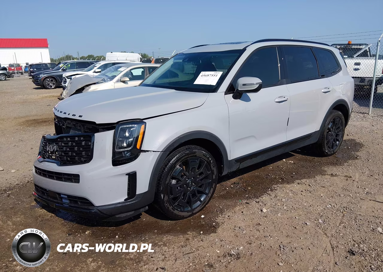 2022 Kia Telluride Ex VIN:5XYP3DHC5NG323263 - 2