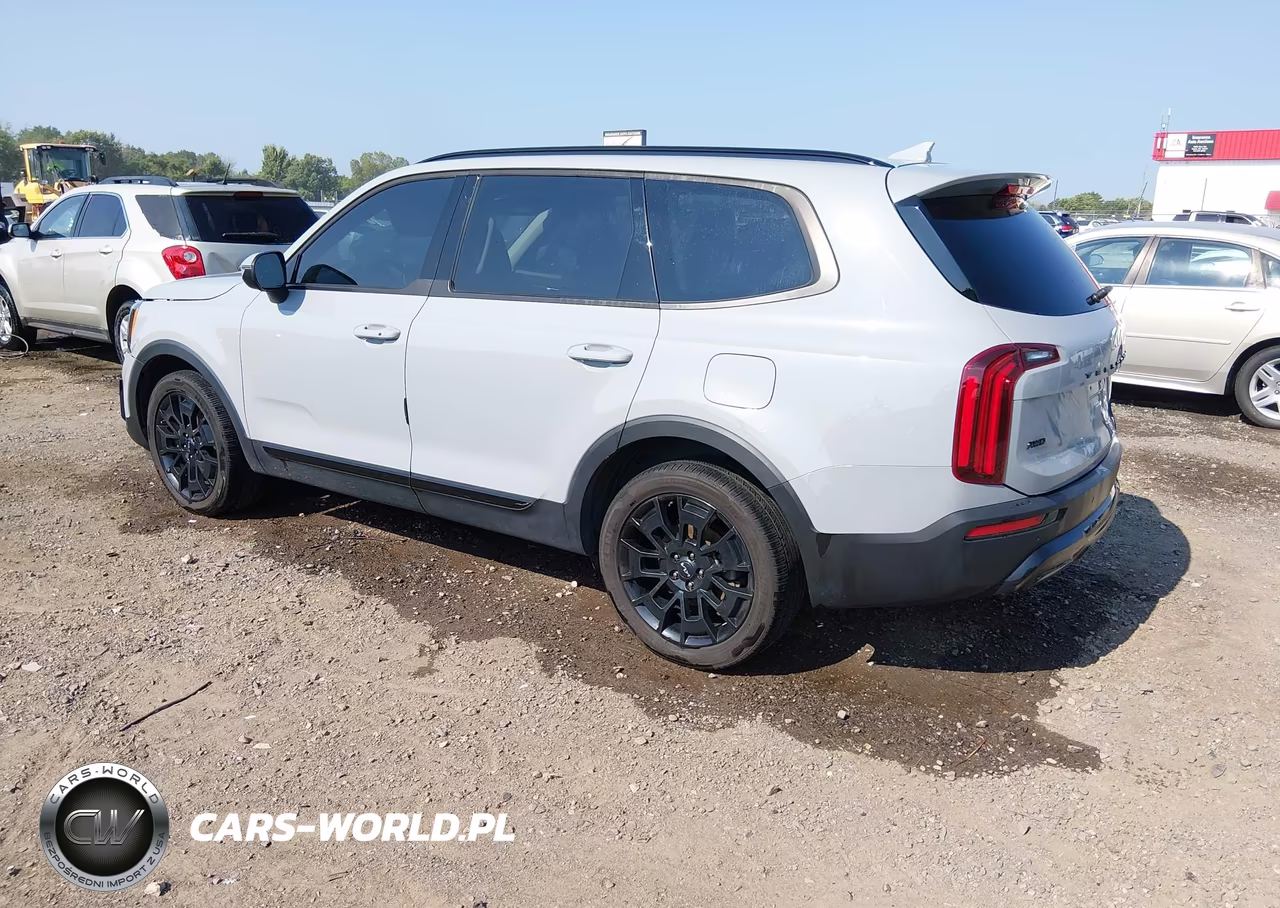 2022 Kia Telluride Ex VIN:5XYP3DHC5NG323263 - 3