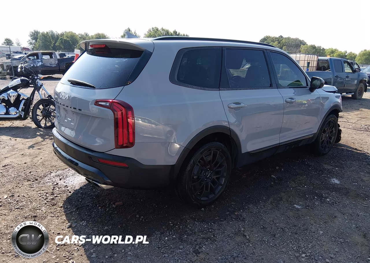 2022 Kia Telluride Ex VIN:5XYP3DHC5NG323263 - 4