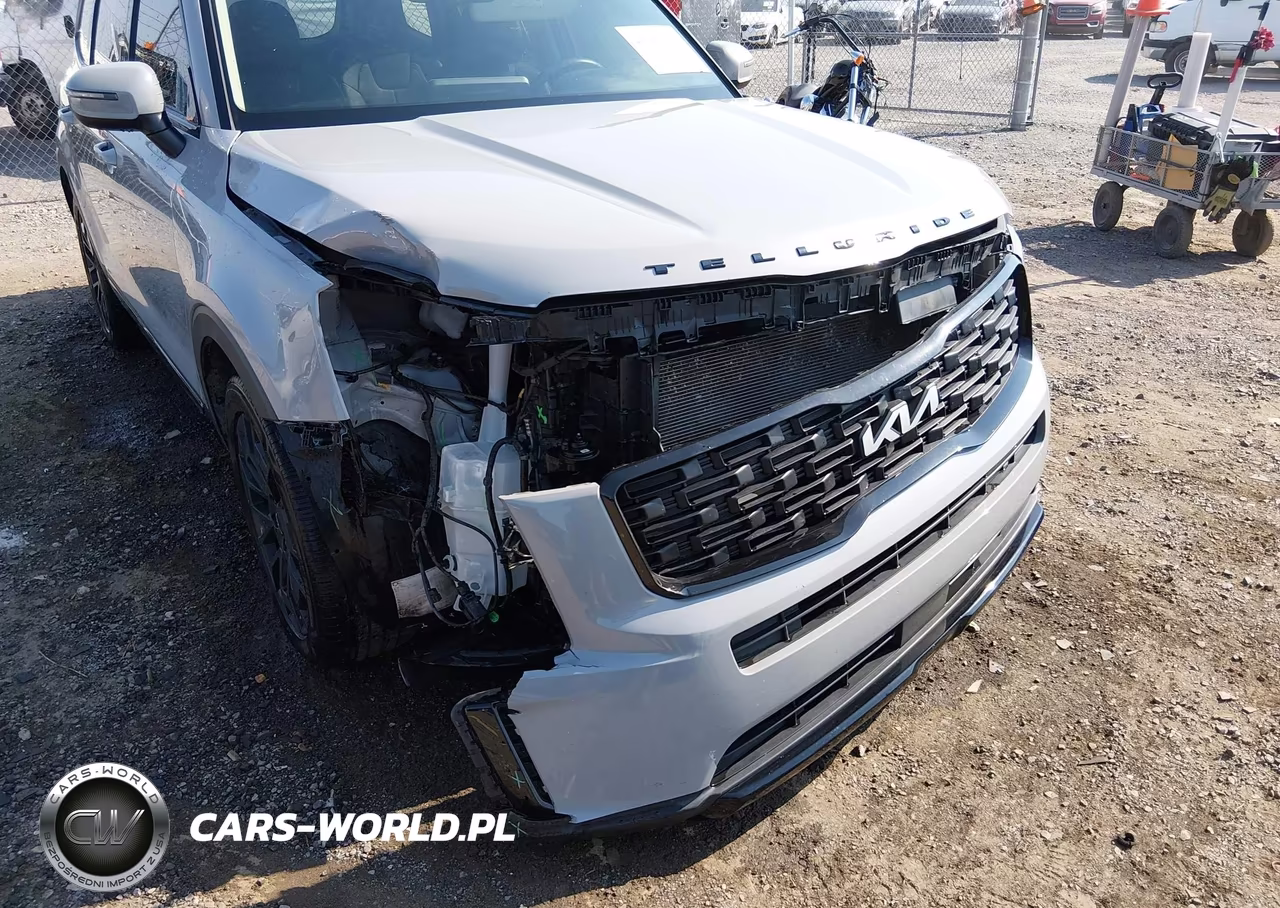2022 Kia Telluride Ex VIN:5XYP3DHC5NG323263 - 6