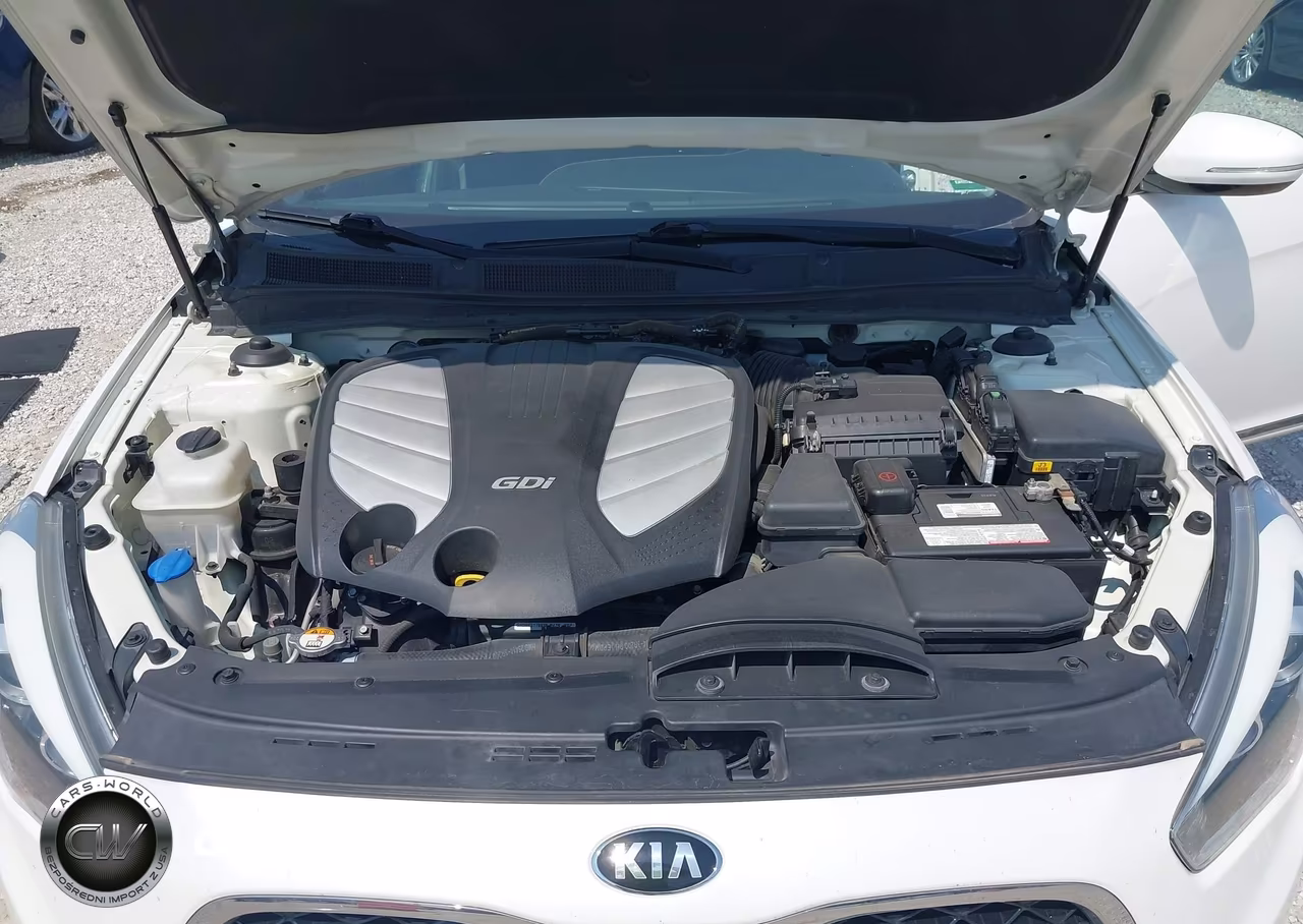 2015 Kia Cadenza Premium VIN:KNALN4D77F5191762 - 10