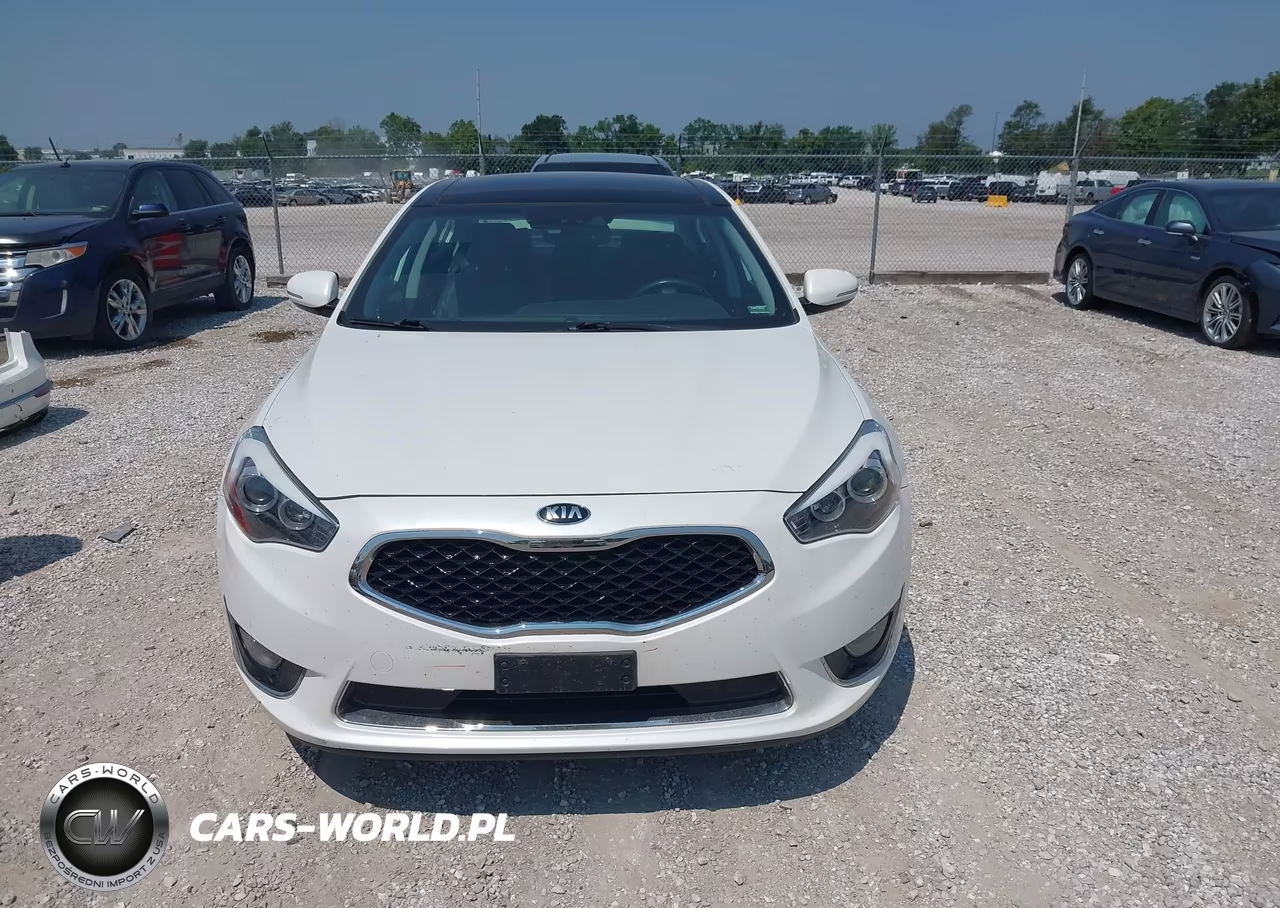2015 Kia Cadenza Premium VIN:KNALN4D77F5191762 - 13