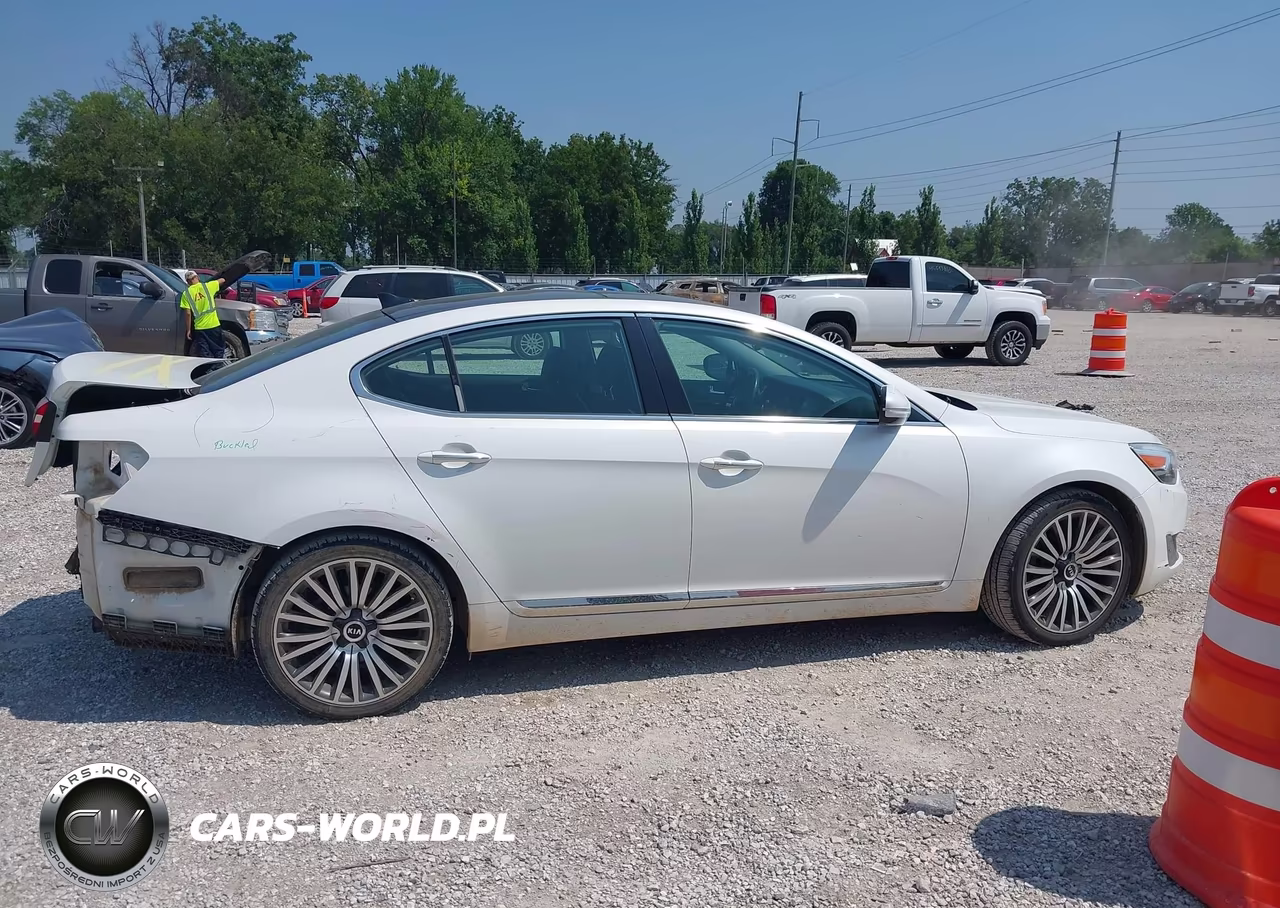 2015 Kia Cadenza Premium VIN:KNALN4D77F5191762 - 14