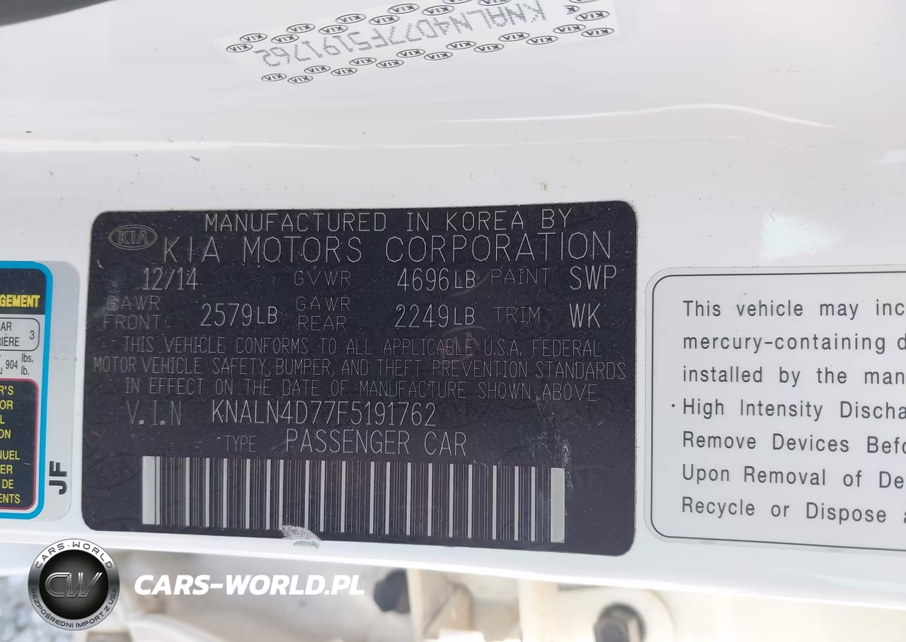 2015 Kia Cadenza Premium VIN:KNALN4D77F5191762 - 9