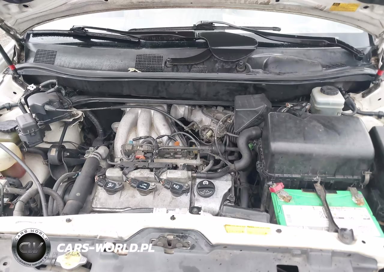 2003 Lexus Rx 300 VIN:JTJGF10U030152318 - 10