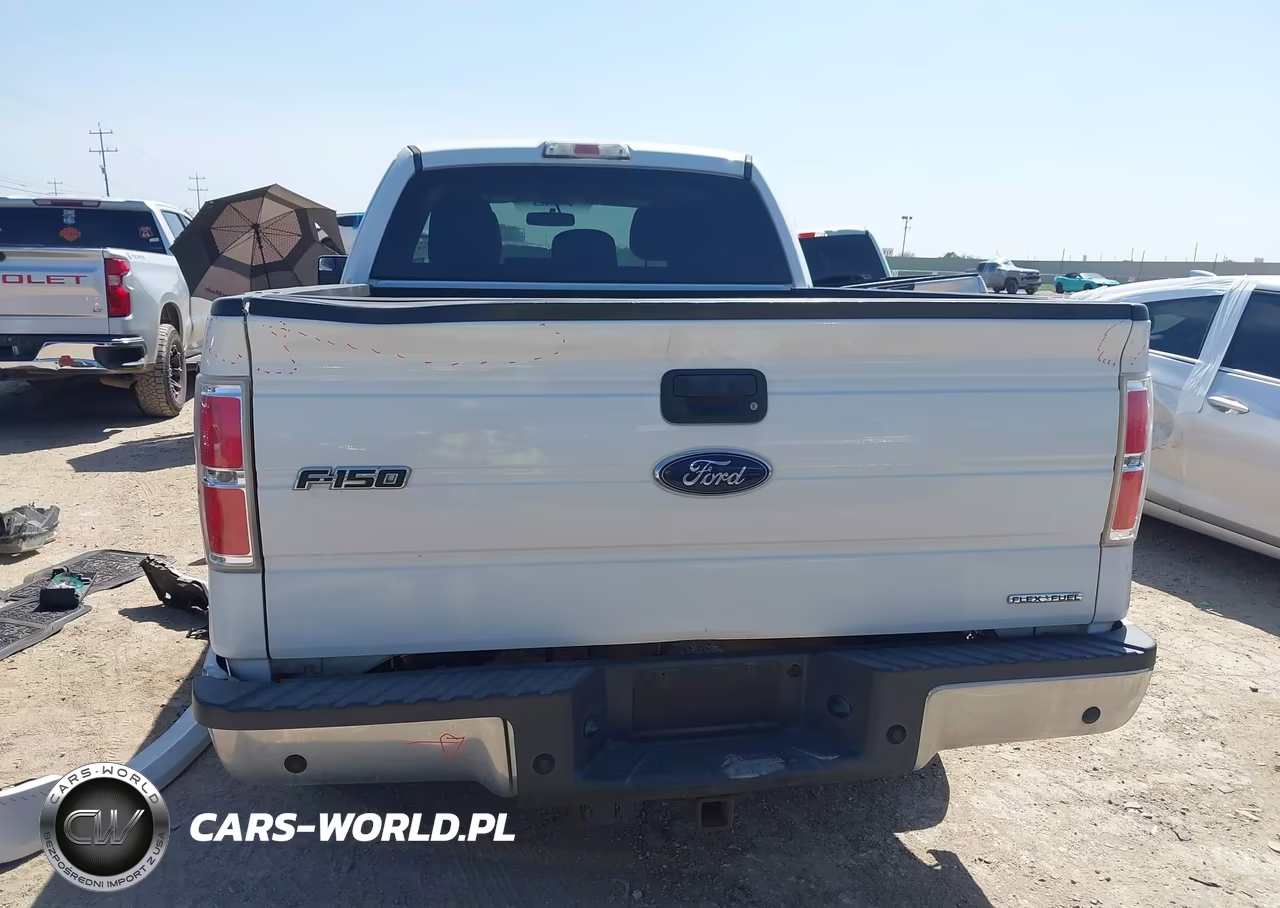 2011 Ford F-150 Xlt VIN:1FTEX1CM9BFC66686 - 17