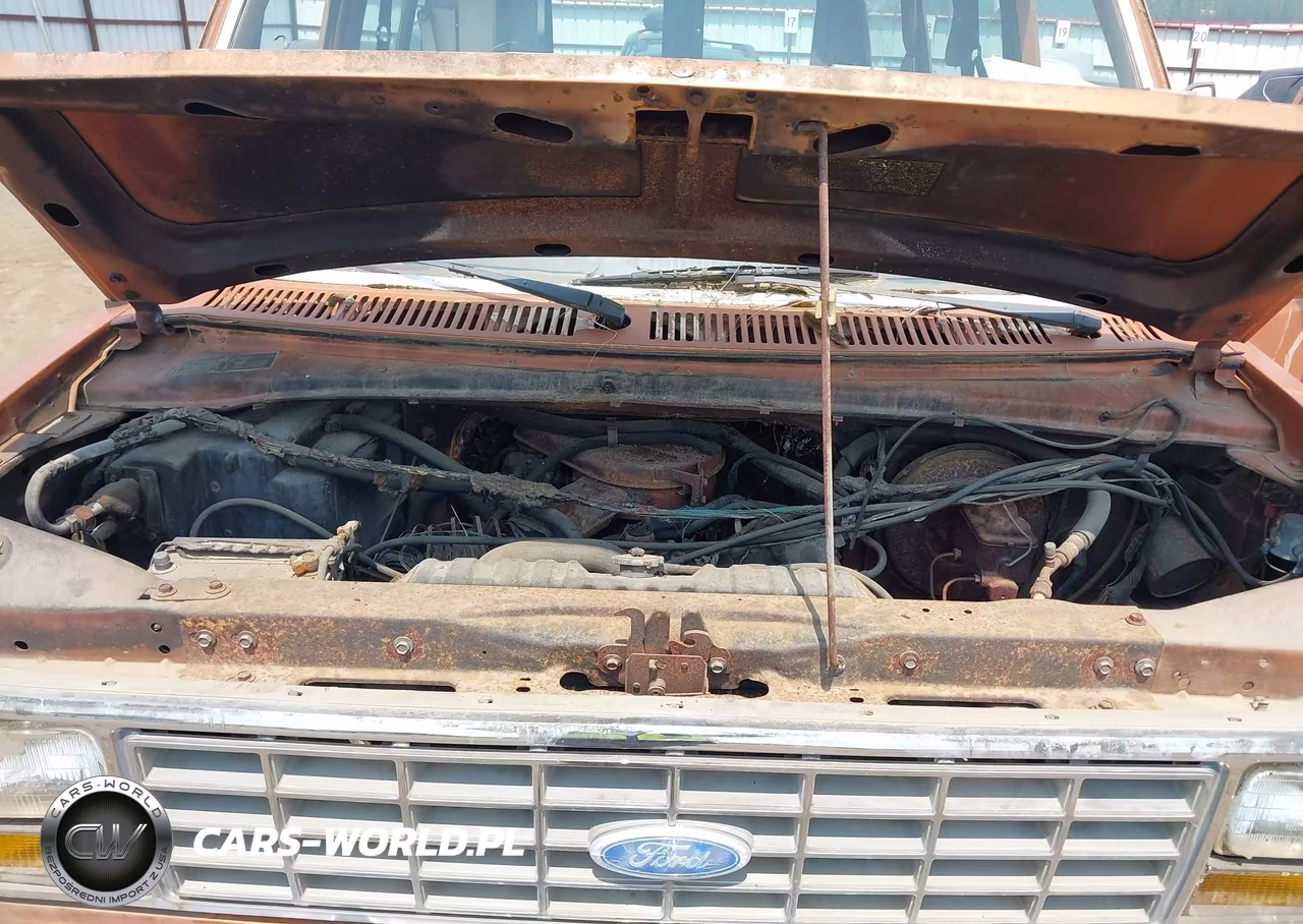 1981 Ford Econoline E150 VIN:1FMDE11E6BHB04625 - 10
