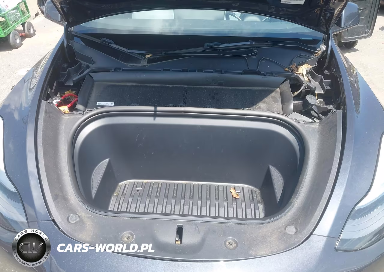2024 Tesla Model Y Long Range Dual Motor All-Wheel Drive VIN:7SAYGDEE5RA227354 - 10
