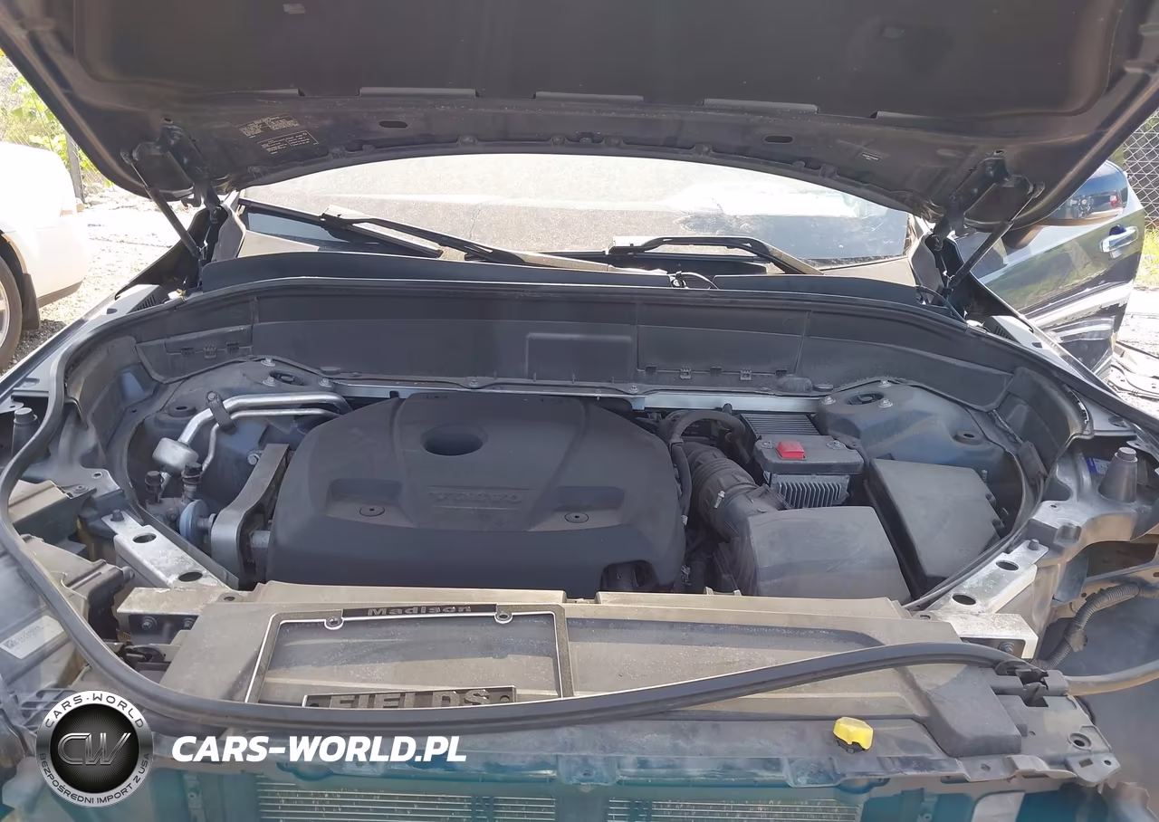 2019 Volvo Xc90 T6 Inscription VIN:YV4A22PL2K1442878 - 10