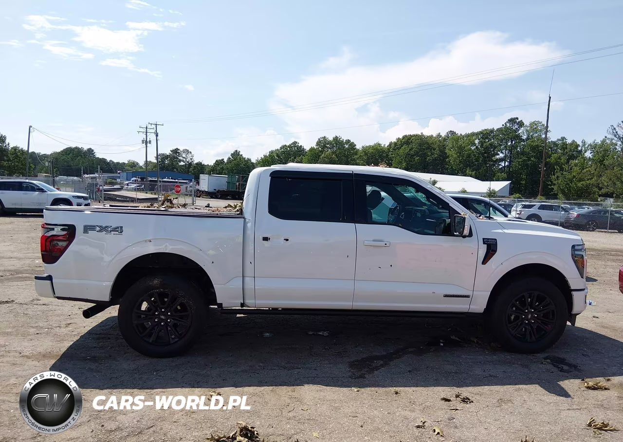 2025 Ford F-150 Platinum VIN:1FTFW7LD7SFA93647 - 13