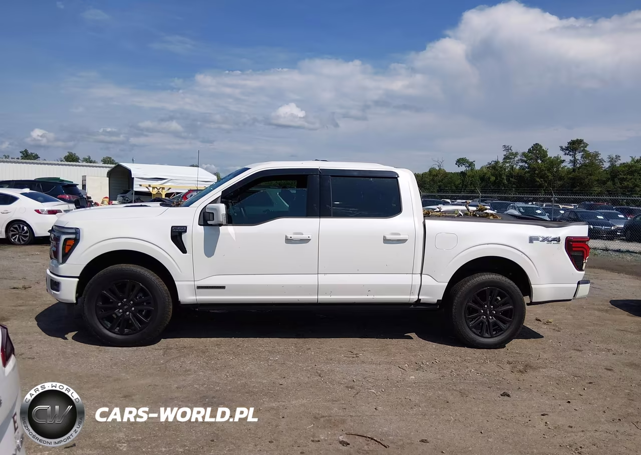 2025 Ford F-150 Platinum VIN:1FTFW7LD7SFA93647 - 14