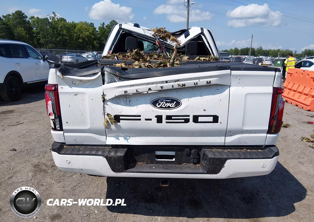 2025 Ford F-150 Platinum VIN:1FTFW7LD7SFA93647 - 16