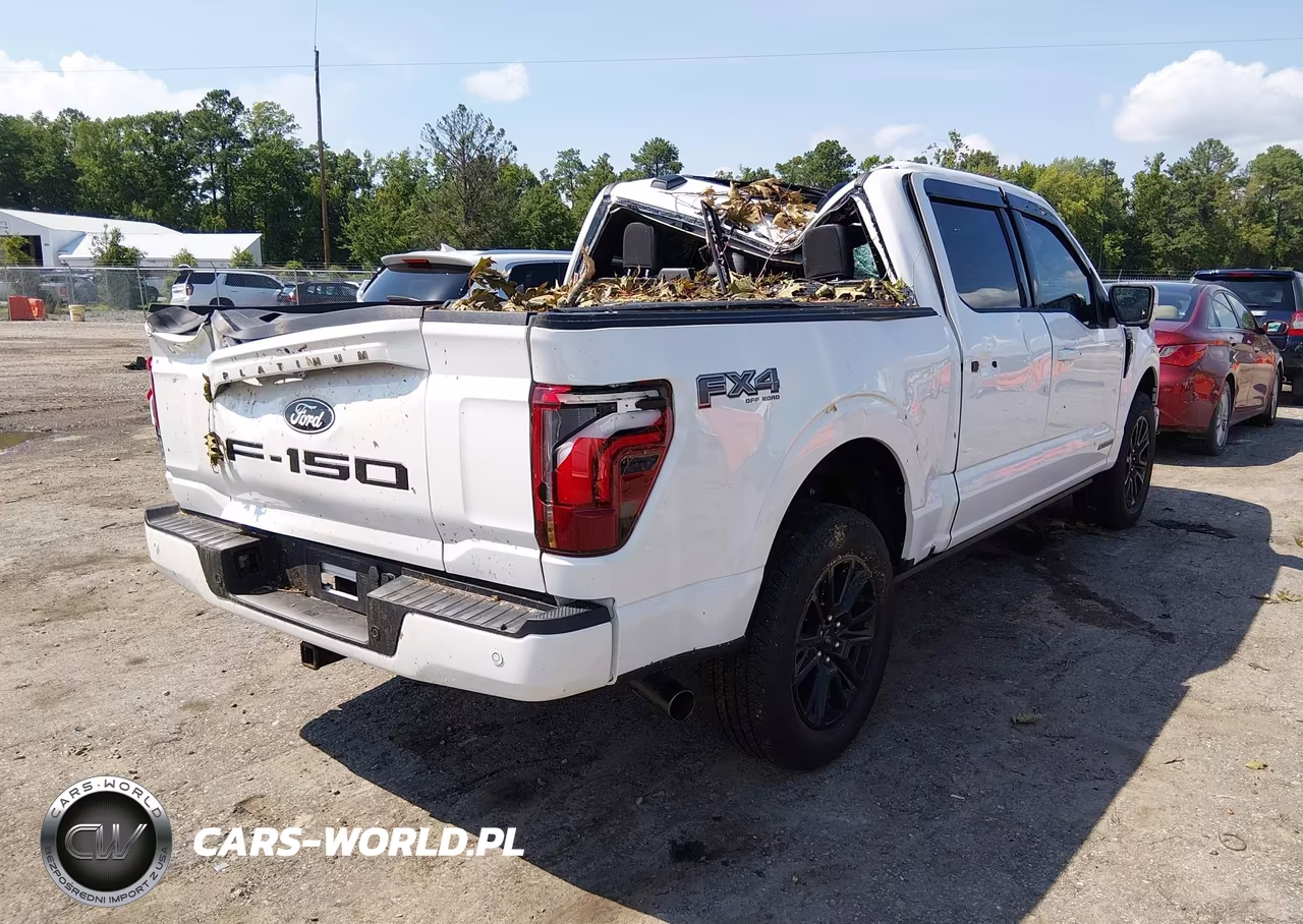 2025 Ford F-150 Platinum VIN:1FTFW7LD7SFA93647 - 4