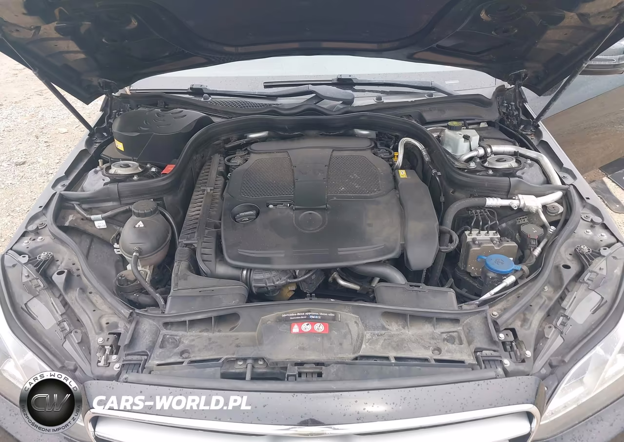 2016 Mercedes-Benz E 350 VIN:WDDHF5KB0GB206548 - 10