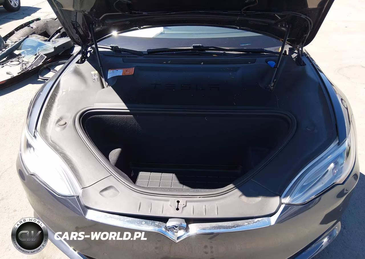 2018 Tesla Model S 100D-75D-P100D VIN:5YJSA1E29JF277044 - 10
