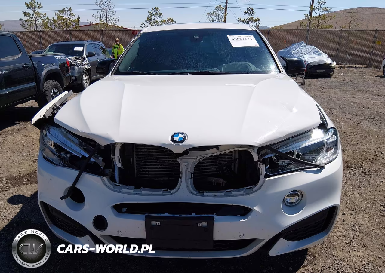 2019 BMW X6 xDrive35I VIN:5UXKU2C56K0Z65818 - 12