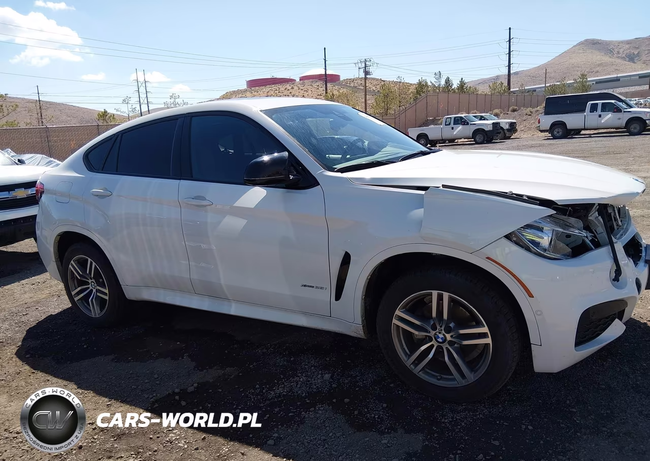 2019 BMW X6 xDrive35I VIN:5UXKU2C56K0Z65818 - 13