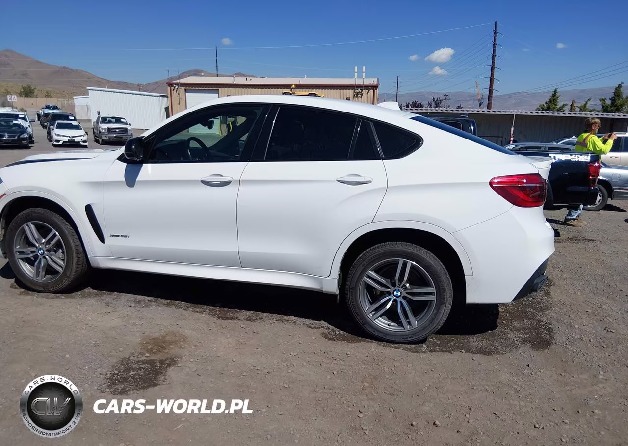 2019 BMW X6 xDrive35I VIN:5UXKU2C56K0Z65818 - 14