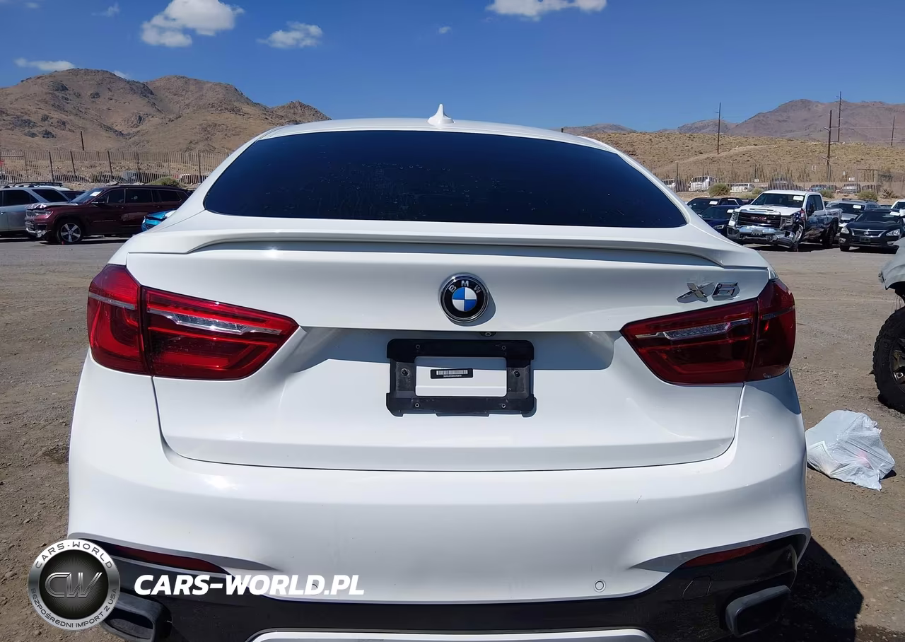 2019 BMW X6 xDrive35I VIN:5UXKU2C56K0Z65818 - 16