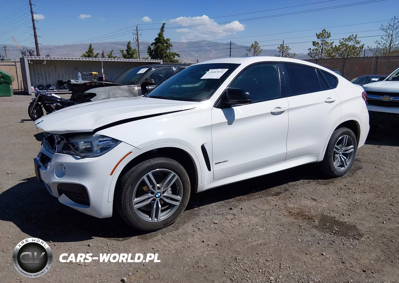 2019 BMW X6 xDrive35I VIN:5UXKU2C56K0Z65818 - 2
