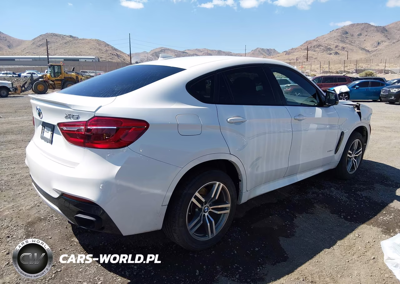 2019 BMW X6 xDrive35I VIN:5UXKU2C56K0Z65818 - 4