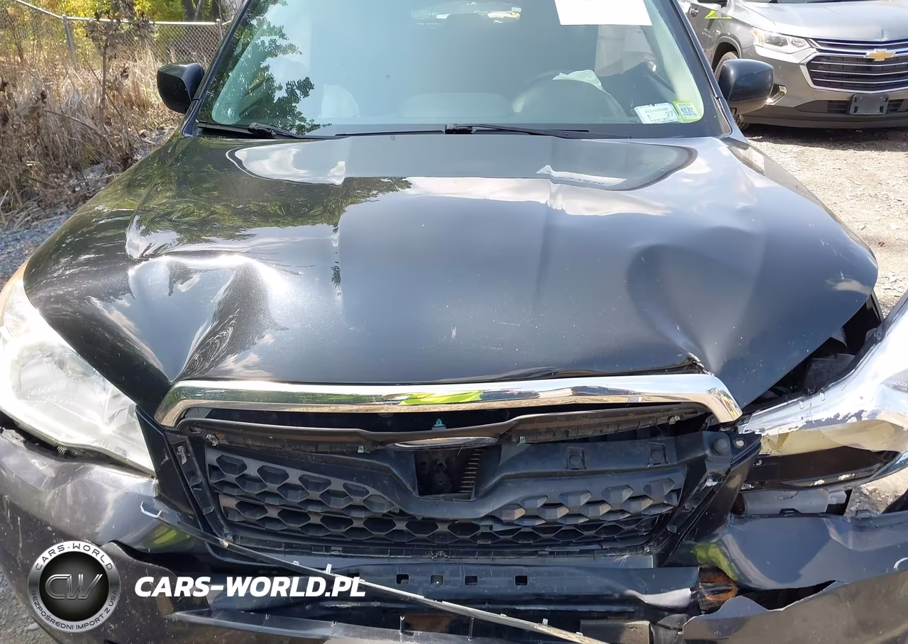 2016 Subaru Forester 2.5I Premium VIN:JF2SJADC3GH542657 - 10