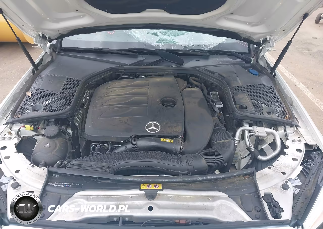 2019 Mercedes-Benz C 300 VIN:WDDWK8DB8KF857218 - 10