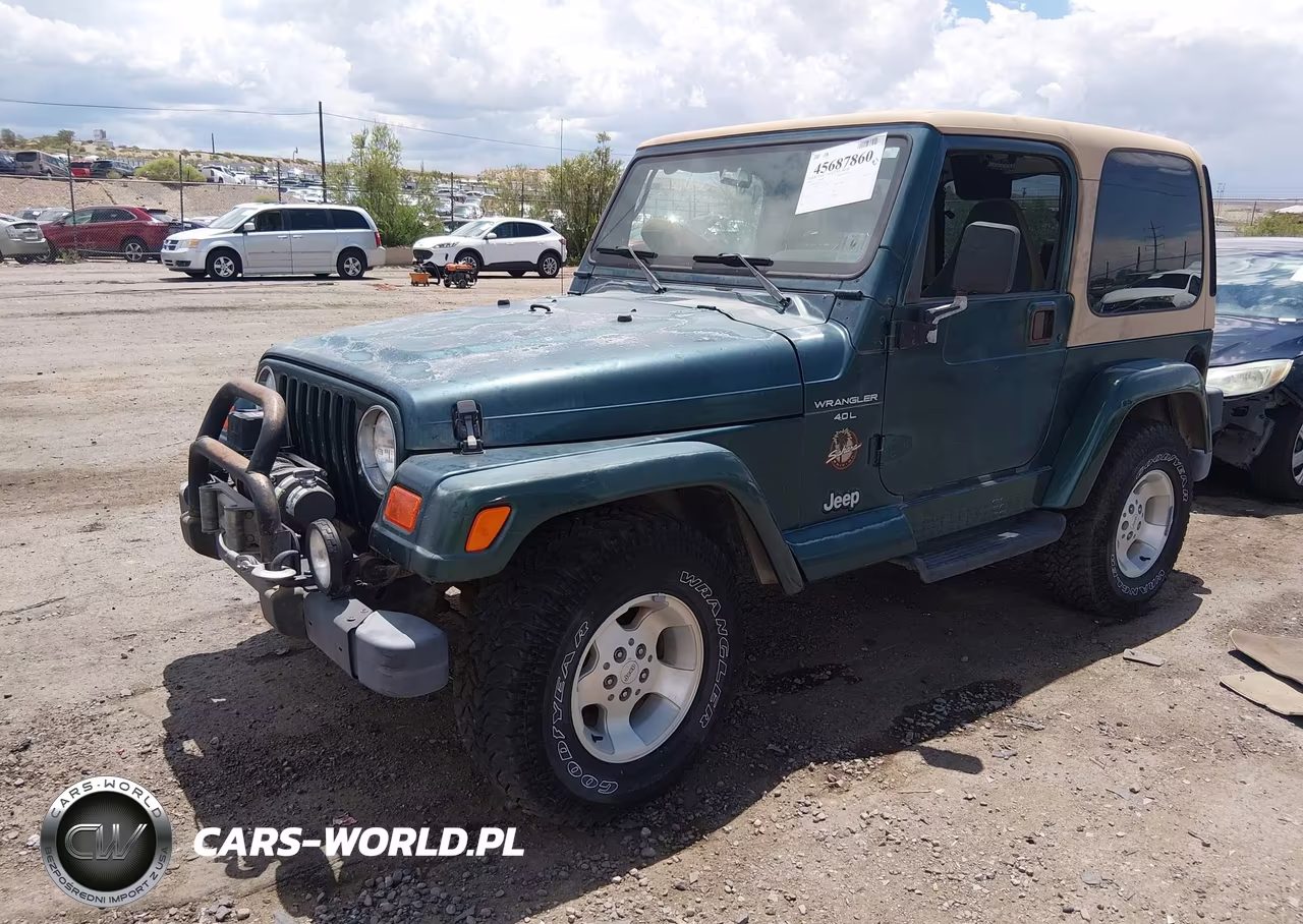 2000 Jeep Wrangler Sahara VIN:1J4FA59S8YP732771 - 2