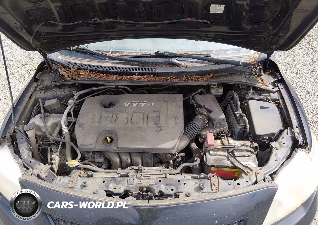 2009 Toyota Corolla VIN:JTDBL40EX99030165 - 10