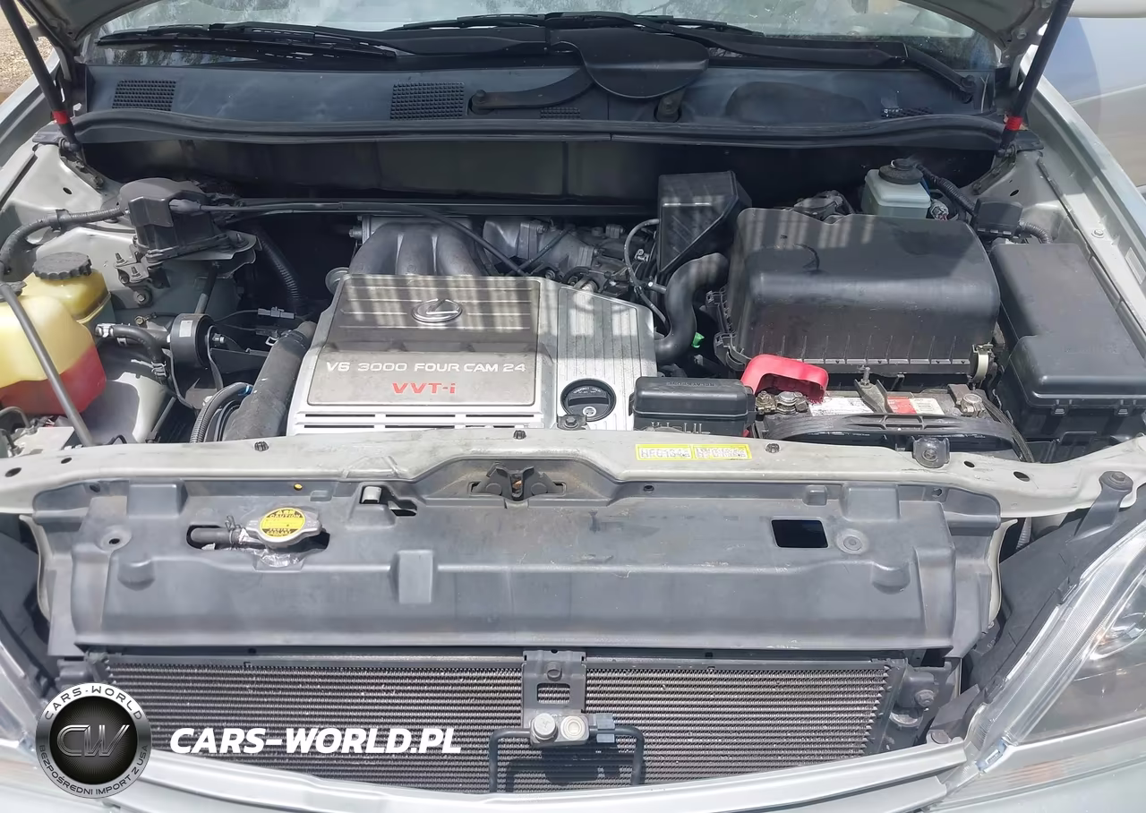 1999 Lexus Rx 300 VIN:JT6GF10U7X0034492 - 10