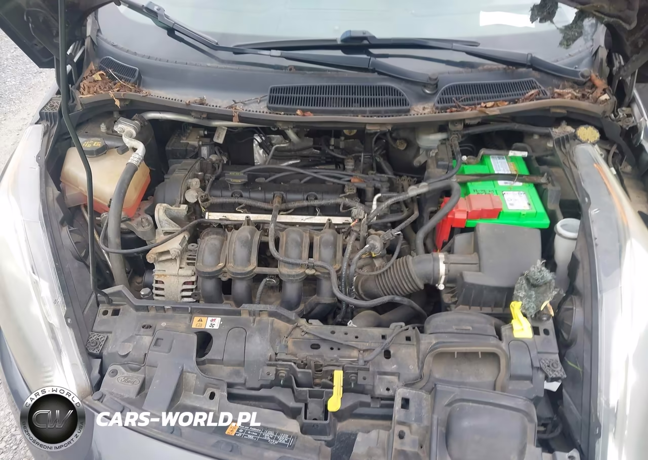 2015 Ford Fiesta Se VIN:3FADP4BJ8FM171052 - 10