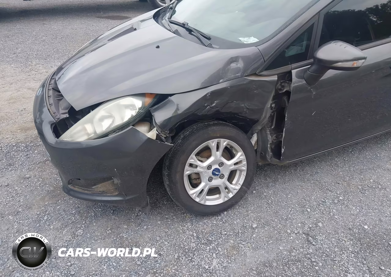 2015 Ford Fiesta Se VIN:3FADP4BJ8FM171052 - 6