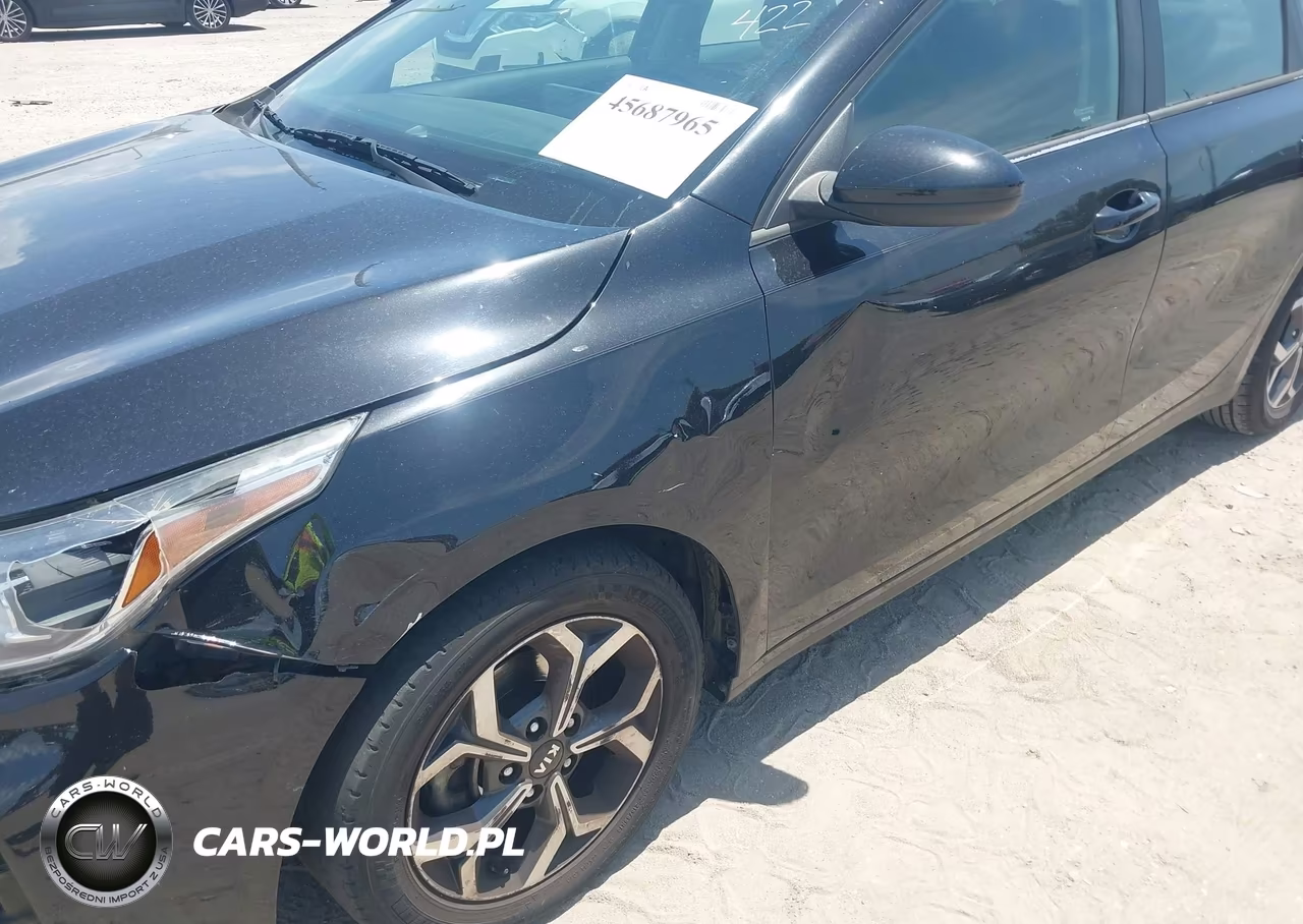 2020 Kia Forte Lxs VIN:3KPF24AD2LE219471 - 19