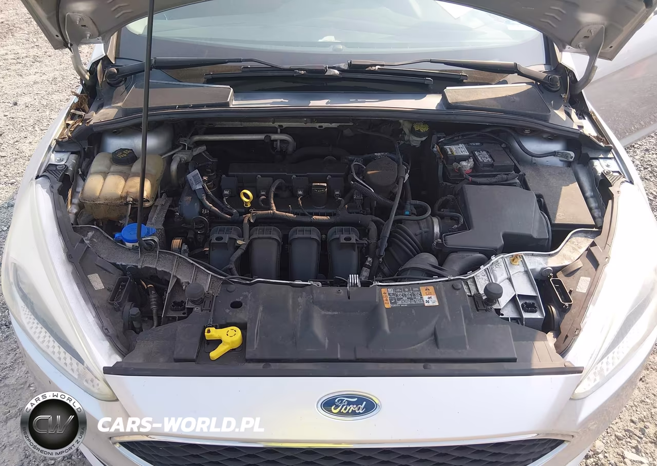 2016 Ford Focus Se VIN:1FADP3K22GL263540 - 10