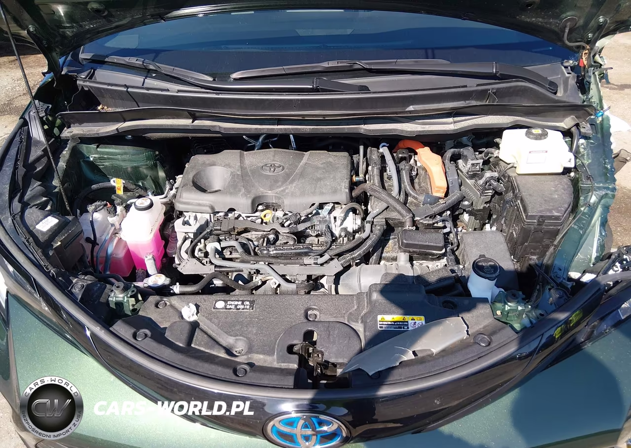 2025 Toyota Sienna Woodland Edition VIN:5TDCSKFC5SS192486 - 10