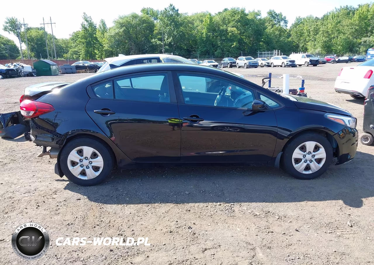 2018 Kia Forte Lx VIN:3KPFK4A78JE210006 - 13