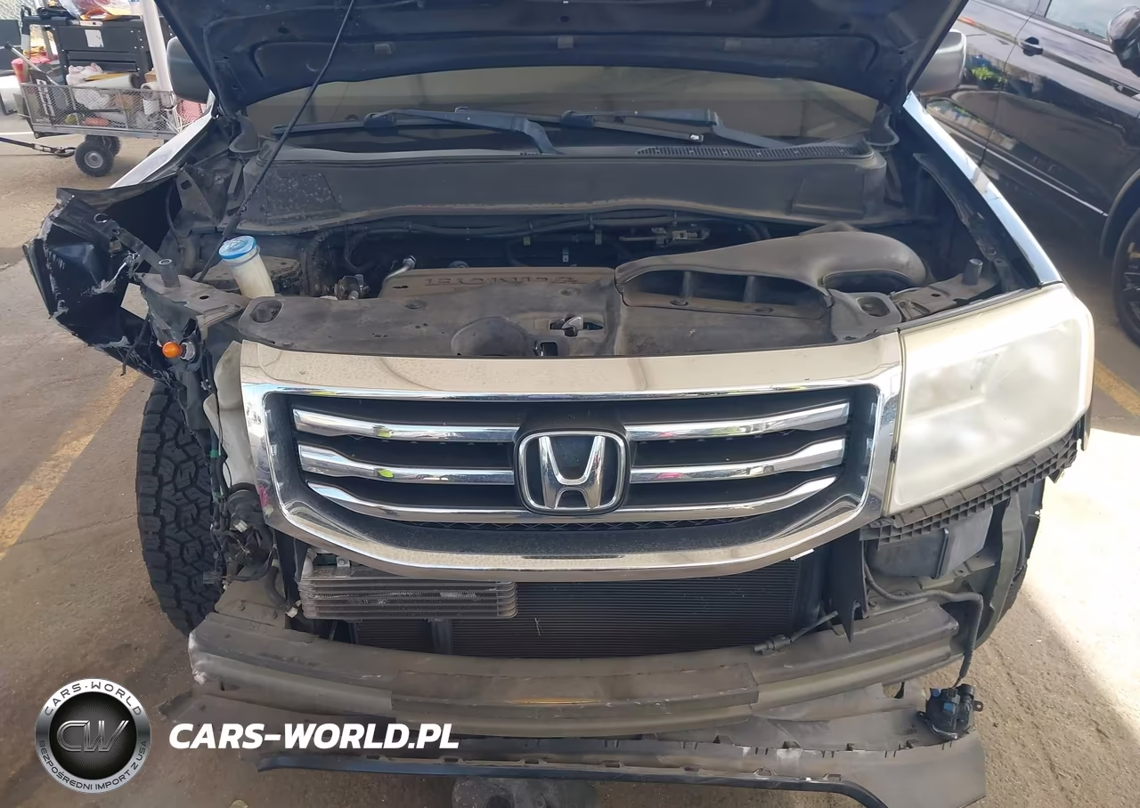 2014 Honda Pilot Lx VIN:5FNYF4H26EB043376 - 10