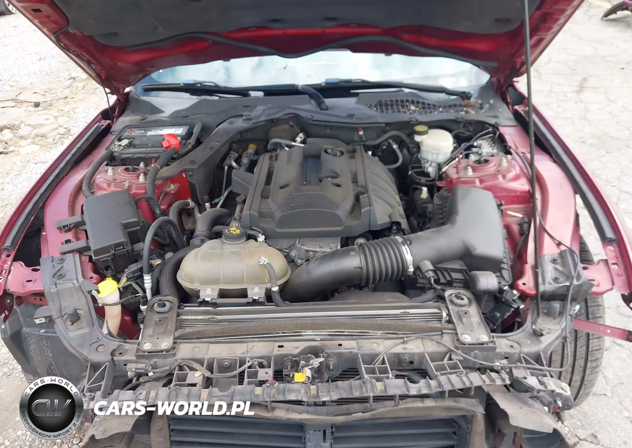 2015 Ford Mustang Ecoboost VIN:1FA6P8TH9F5316259 - 10