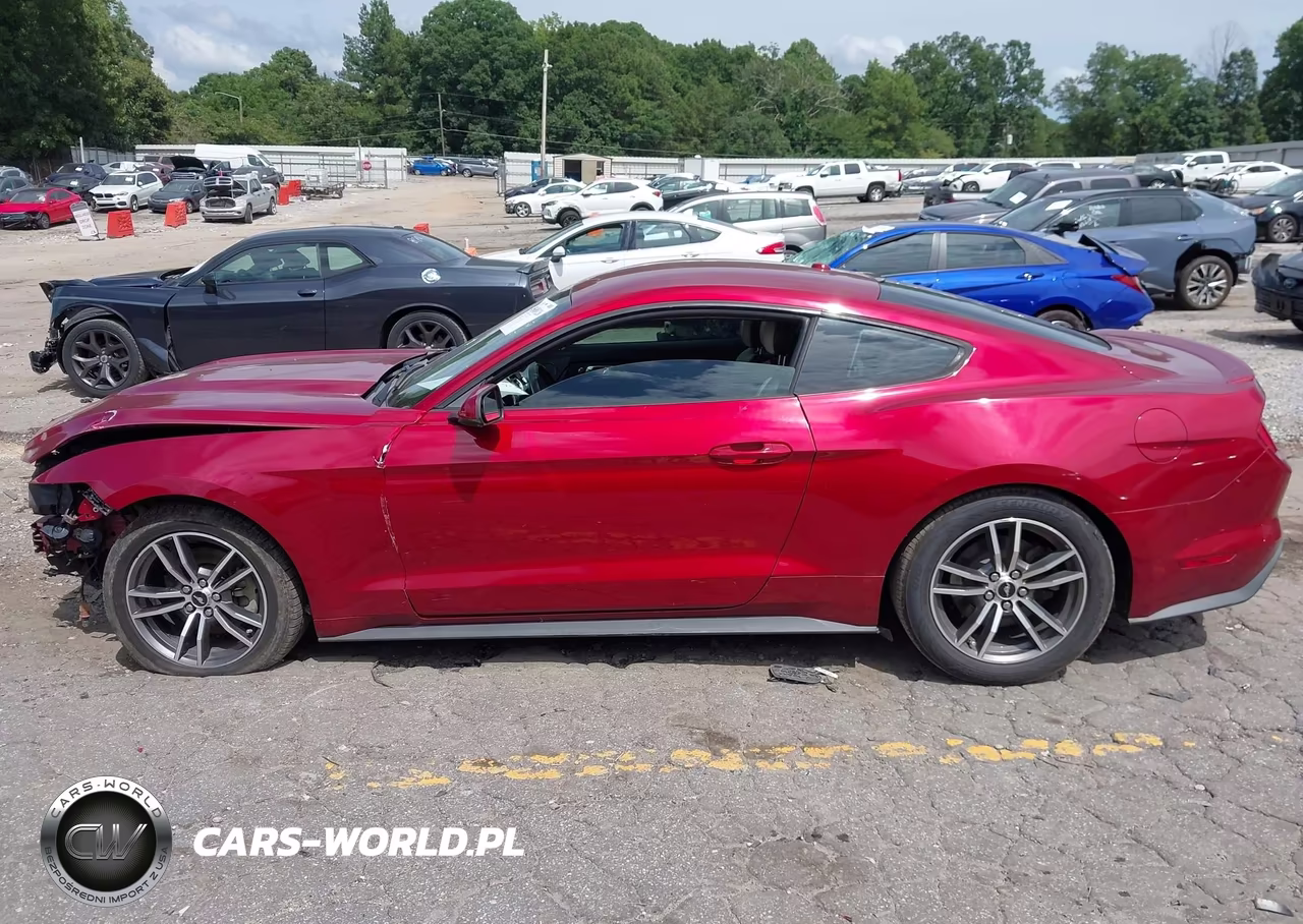 2015 Ford Mustang Ecoboost VIN:1FA6P8TH9F5316259 - 15