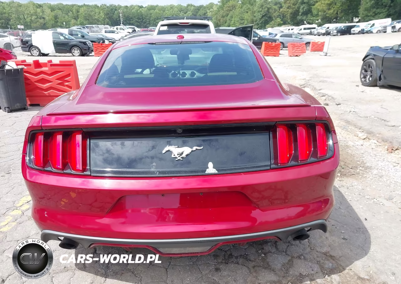 2015 Ford Mustang Ecoboost VIN:1FA6P8TH9F5316259 - 17