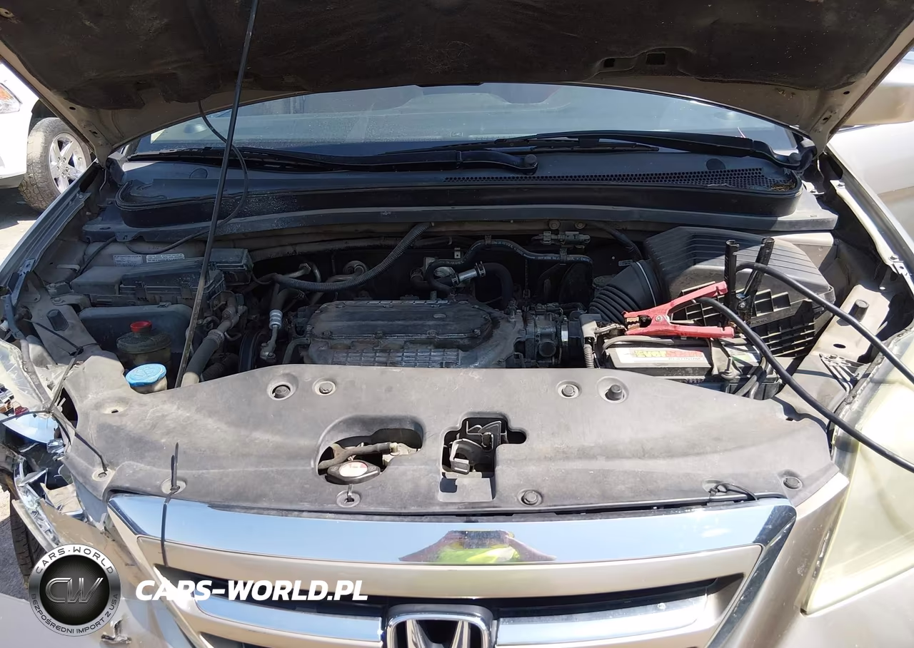 2005 Honda Odyssey Ex VIN:5FNRL38435B425003 - 10