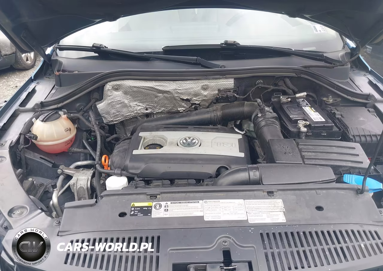 2017 Volkswagen Tiguan 2.0T S VIN:WVGBV7AX5HW504336 - 10