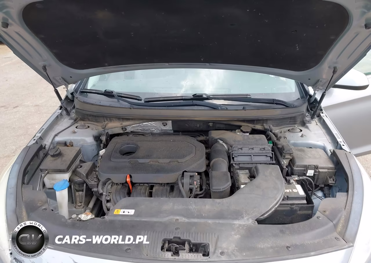 2015 Hyundai Sonata Se VIN:5NPE24AF6FH003863 - 10