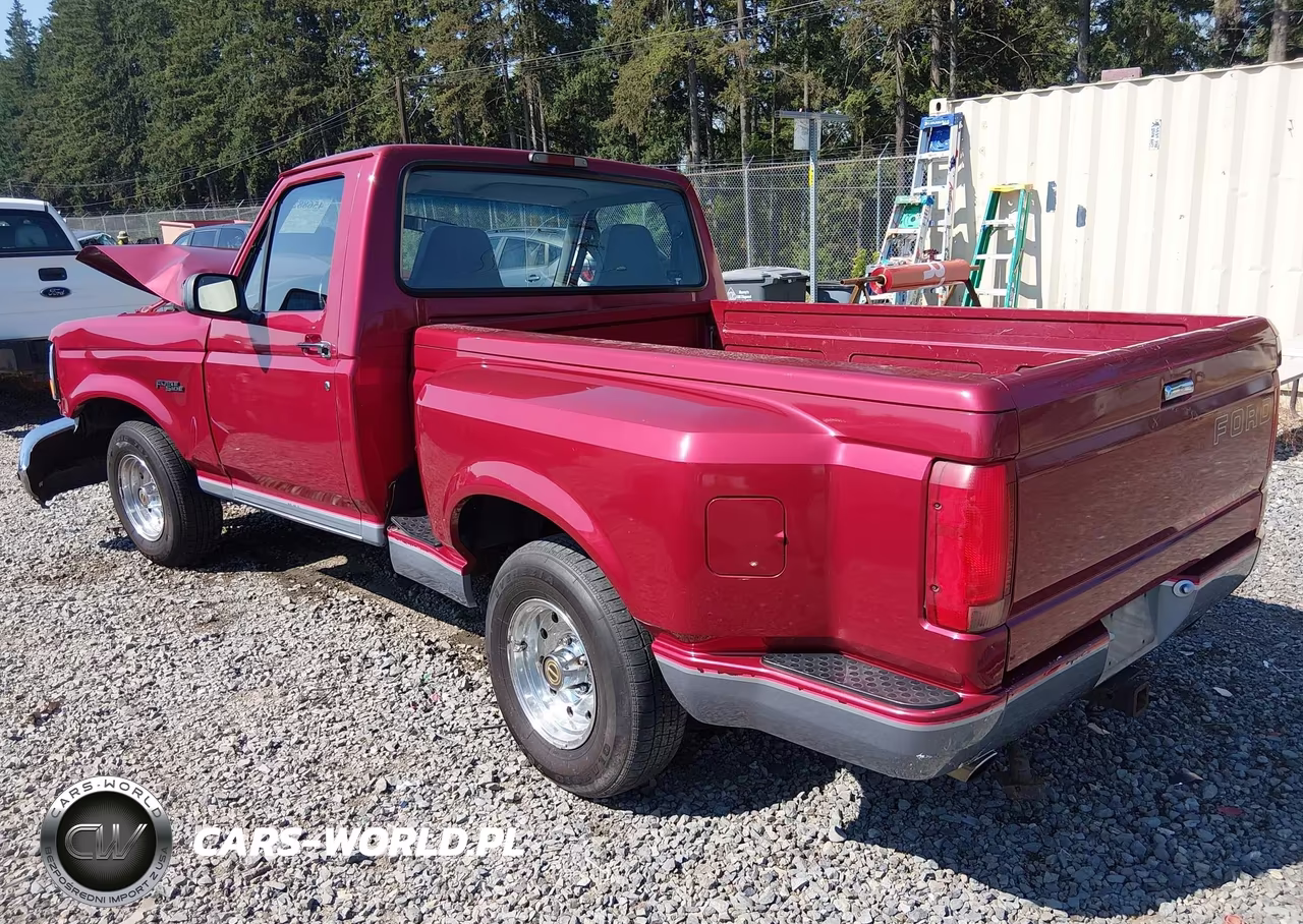 1995 Ford F150 VIN:1FTEF15N4SNB13566 - 3