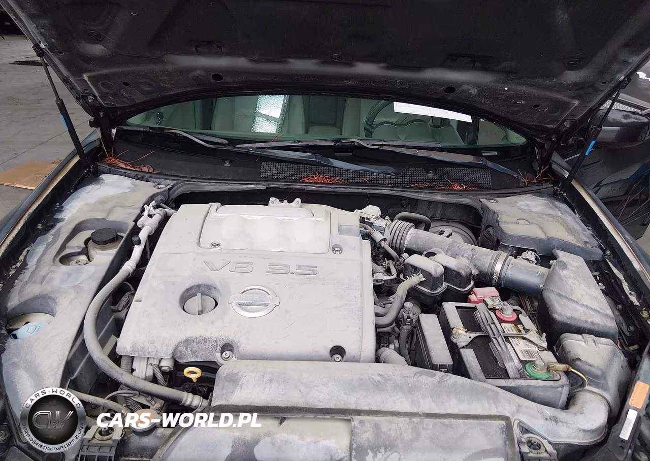 2005 Nissan Maxima 3.5 Se VIN:1N4BA41EX5C873029 - 10
